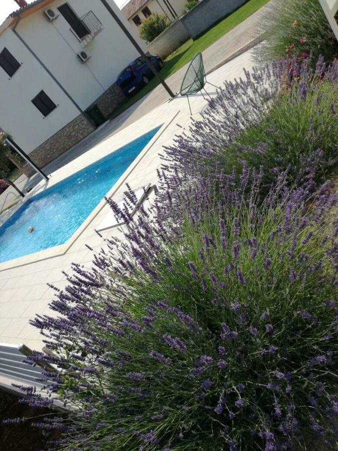 House Kalepin Apartamento Bibinje Exterior foto